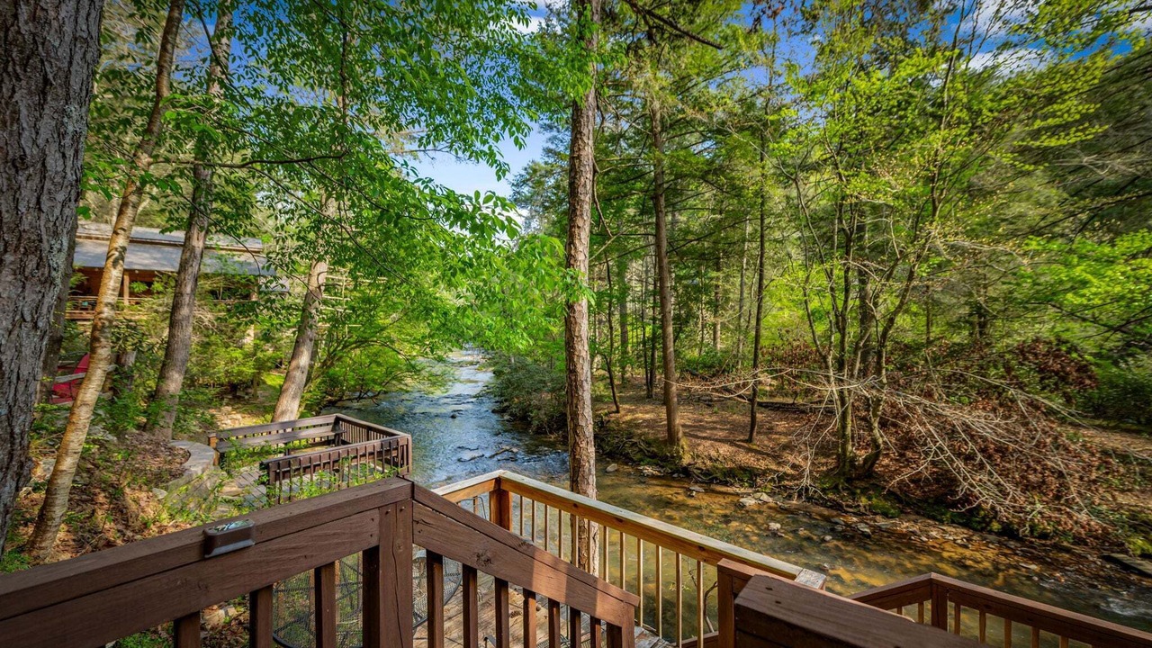 Photo of Outdoor in Ellijay