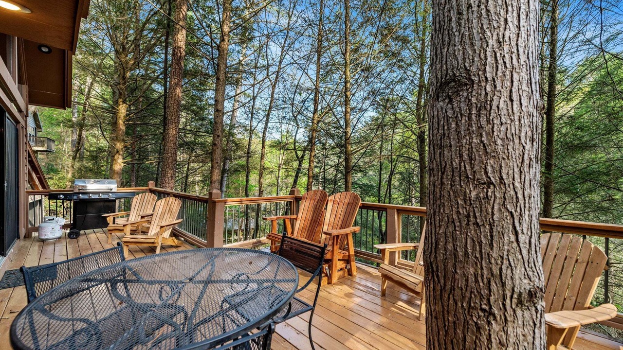 Photo of Outdoor in Ellijay