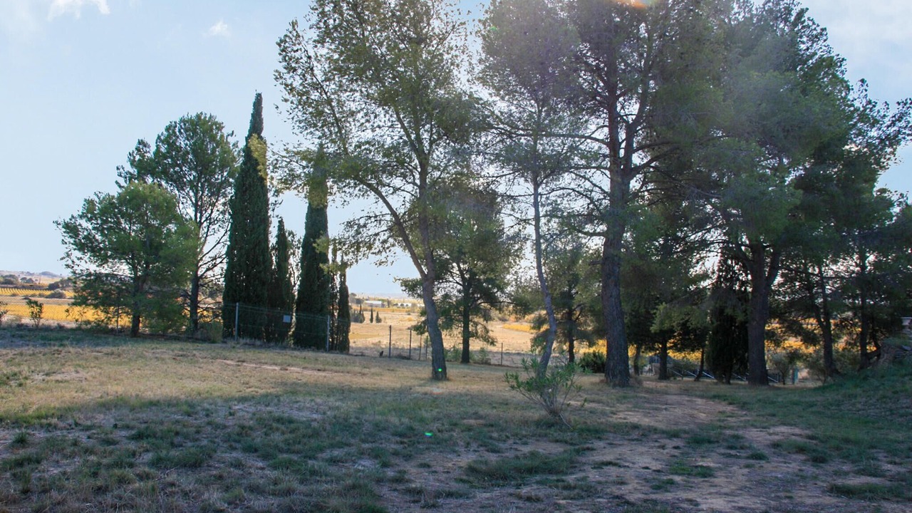 Photo of Others in Rieux-Minervois