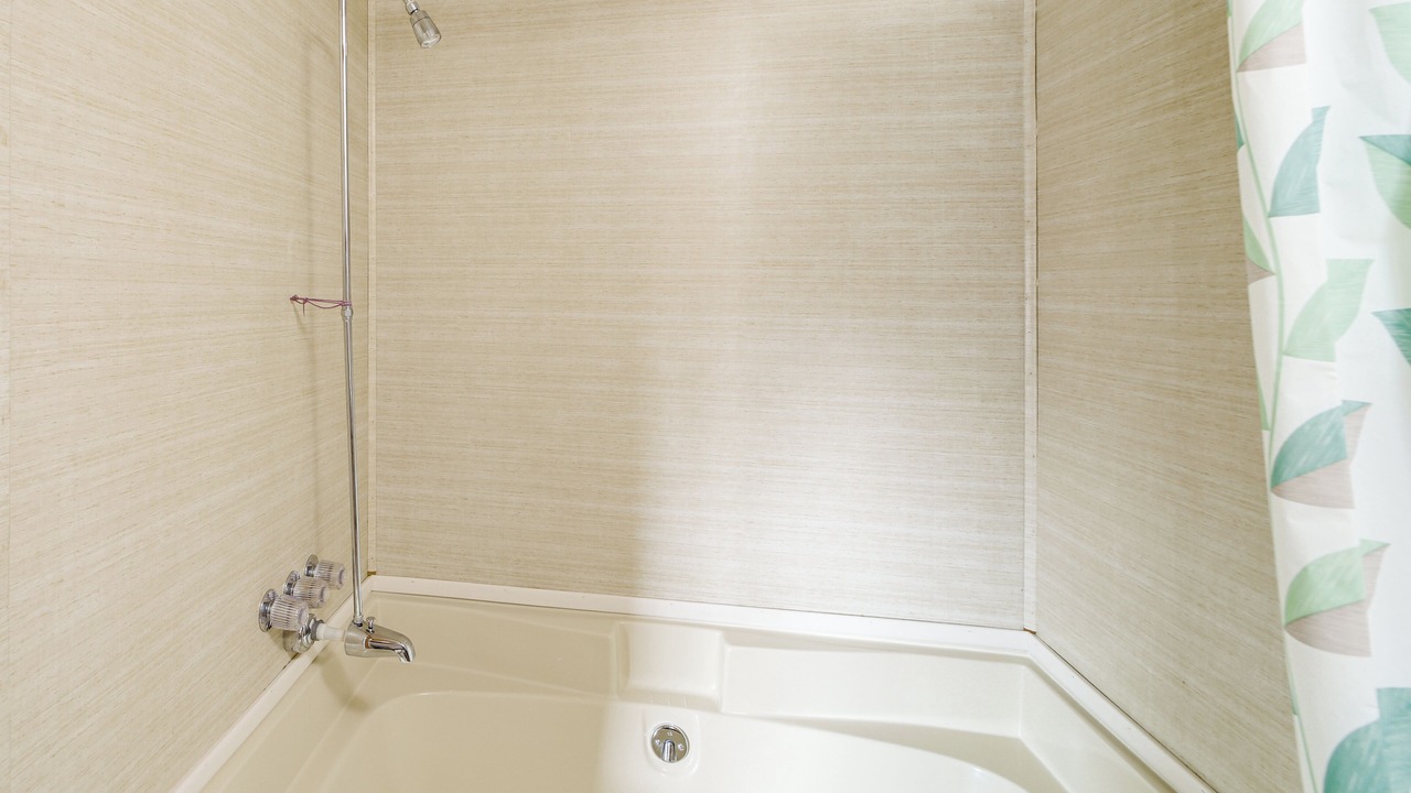 Photo of Bathroom in Monitor