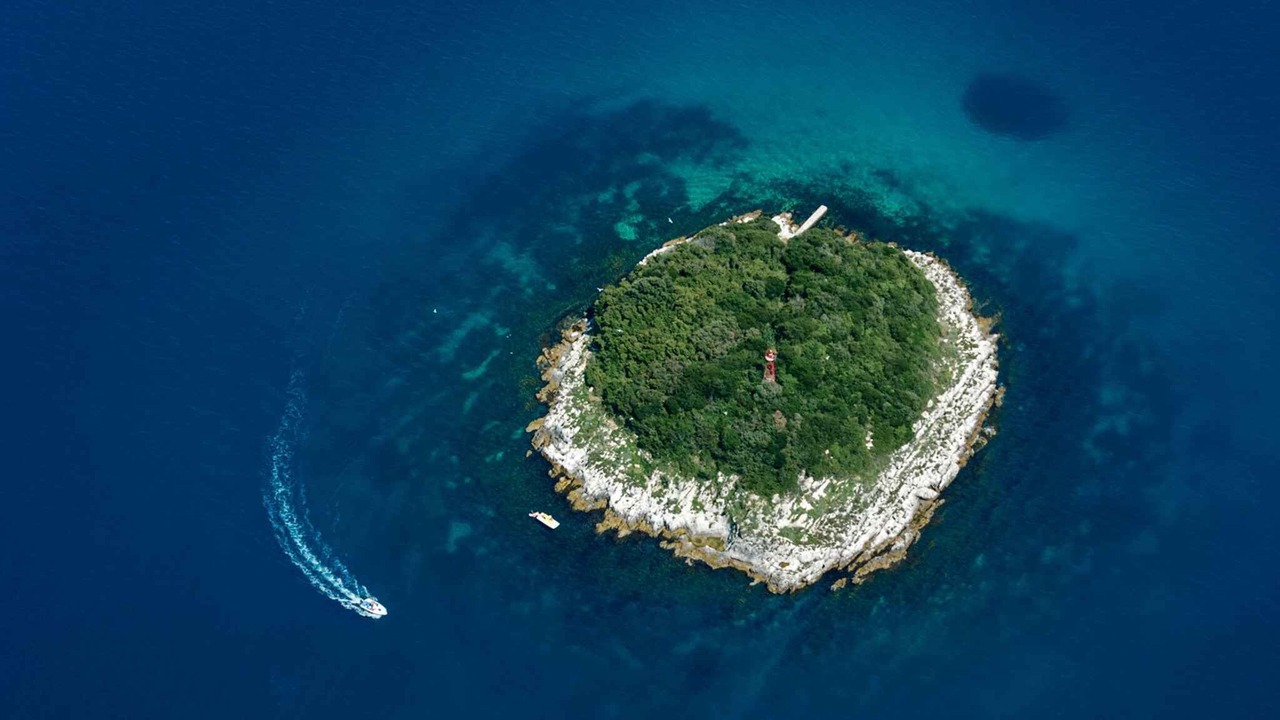 Photo of Outdoor in Susnjici