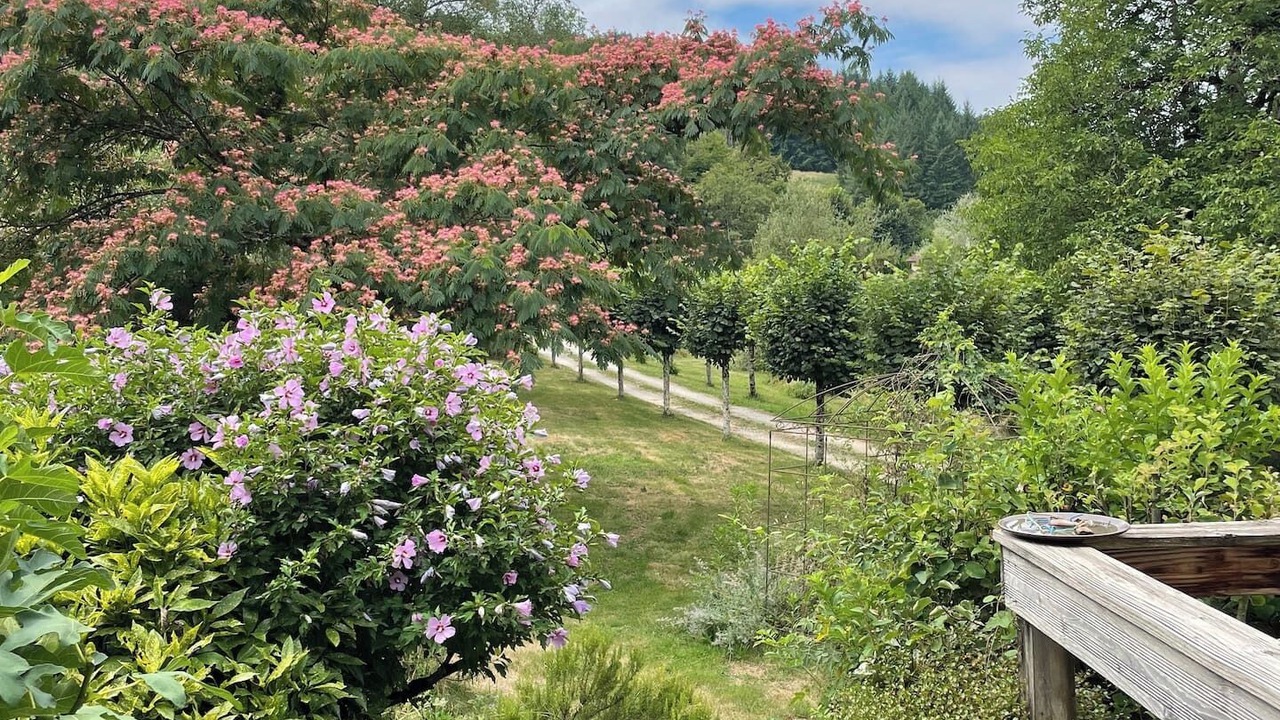 Photo of Outdoor in Saint-Geoire-en-Valdaine