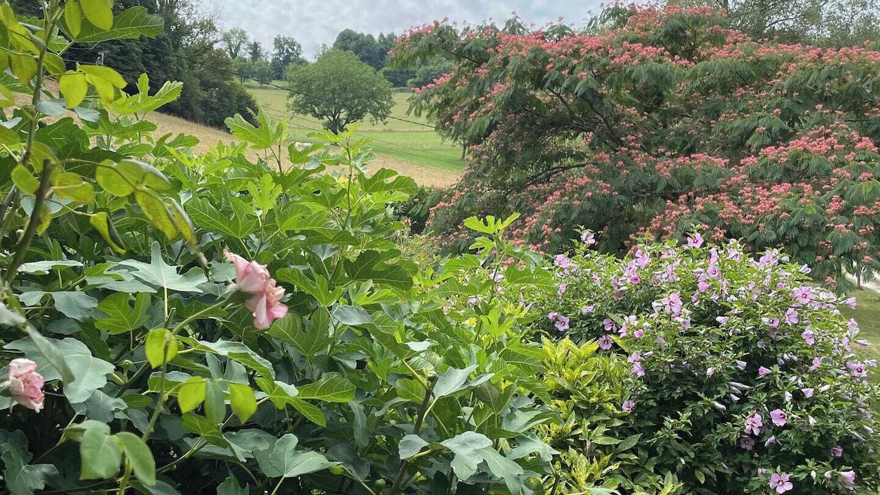 Photo of Outdoor in Saint-Geoire-en-Valdaine