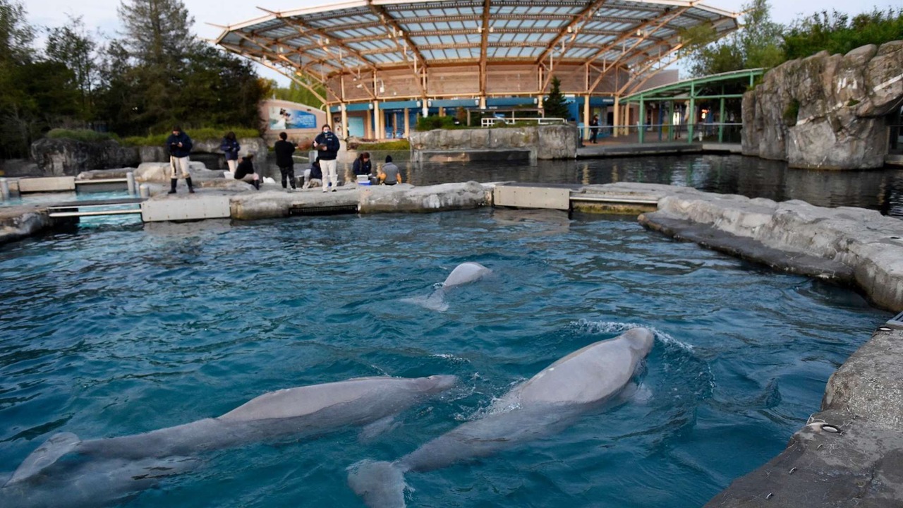 Photo of Others in Groton