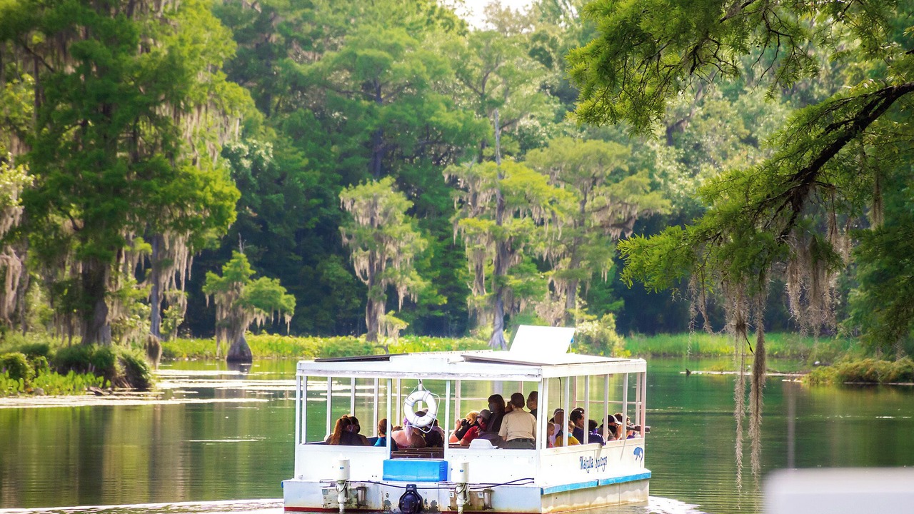 Photo of Others in Carrabelle