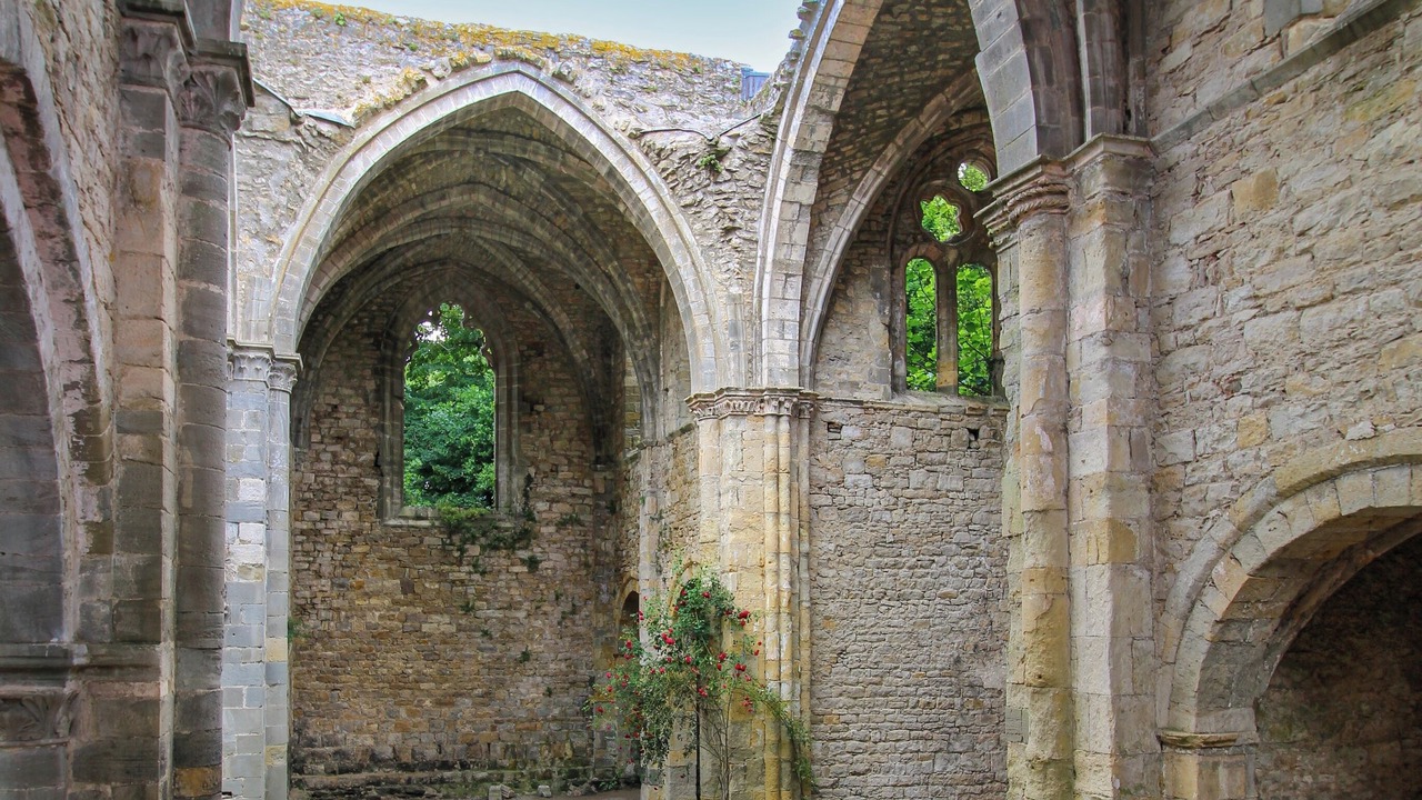 Photo of Others in Saint-Martin-le-Vieil