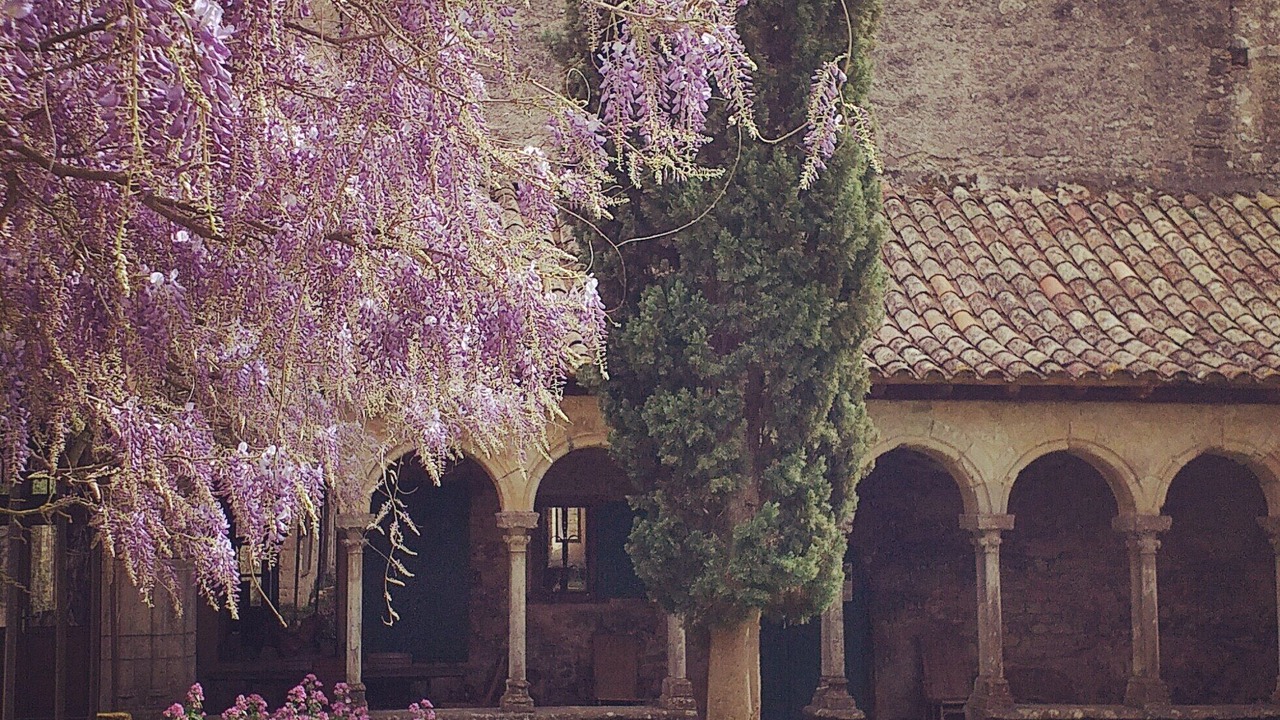 Photo of Outdoor in Saint-Martin-le-Vieil