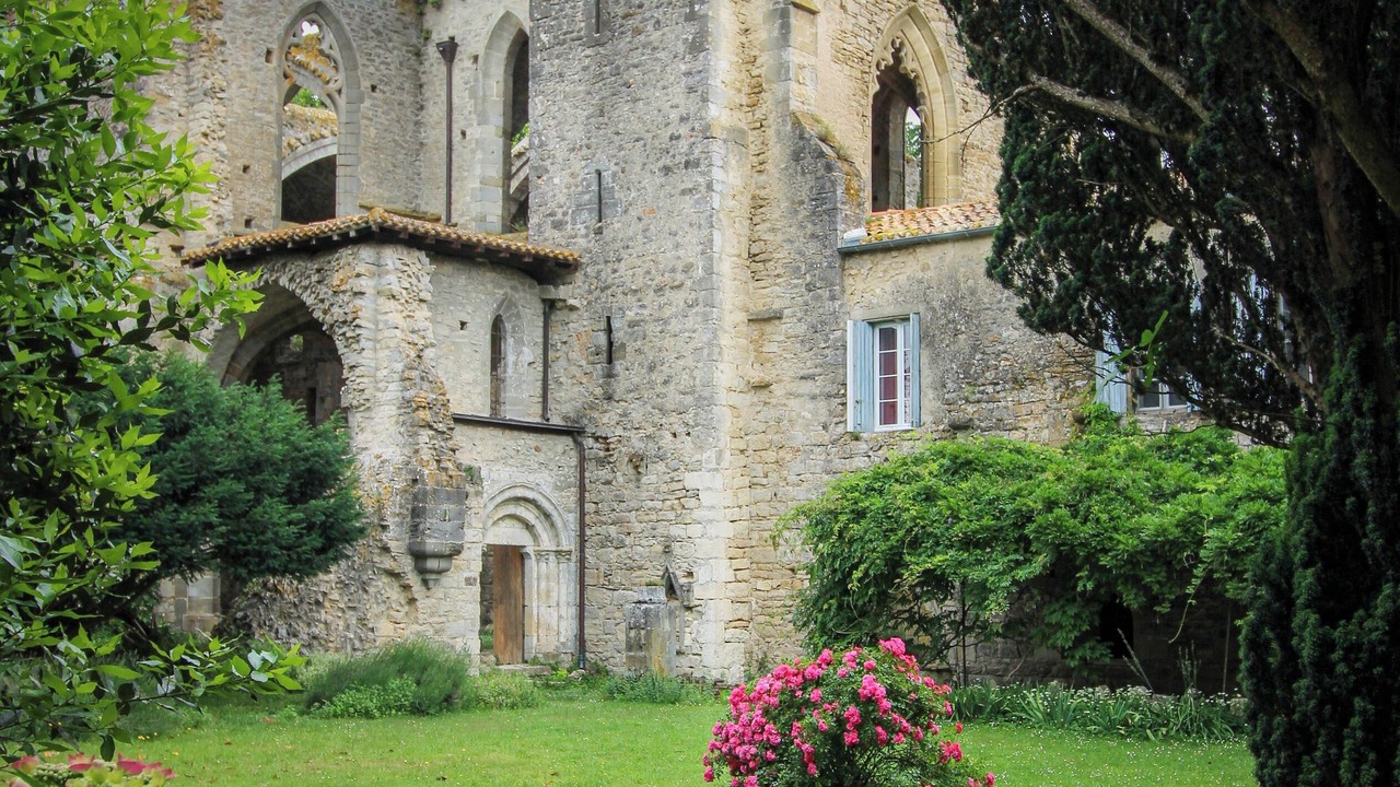 Photo of Outdoor in Saint-Martin-le-Vieil