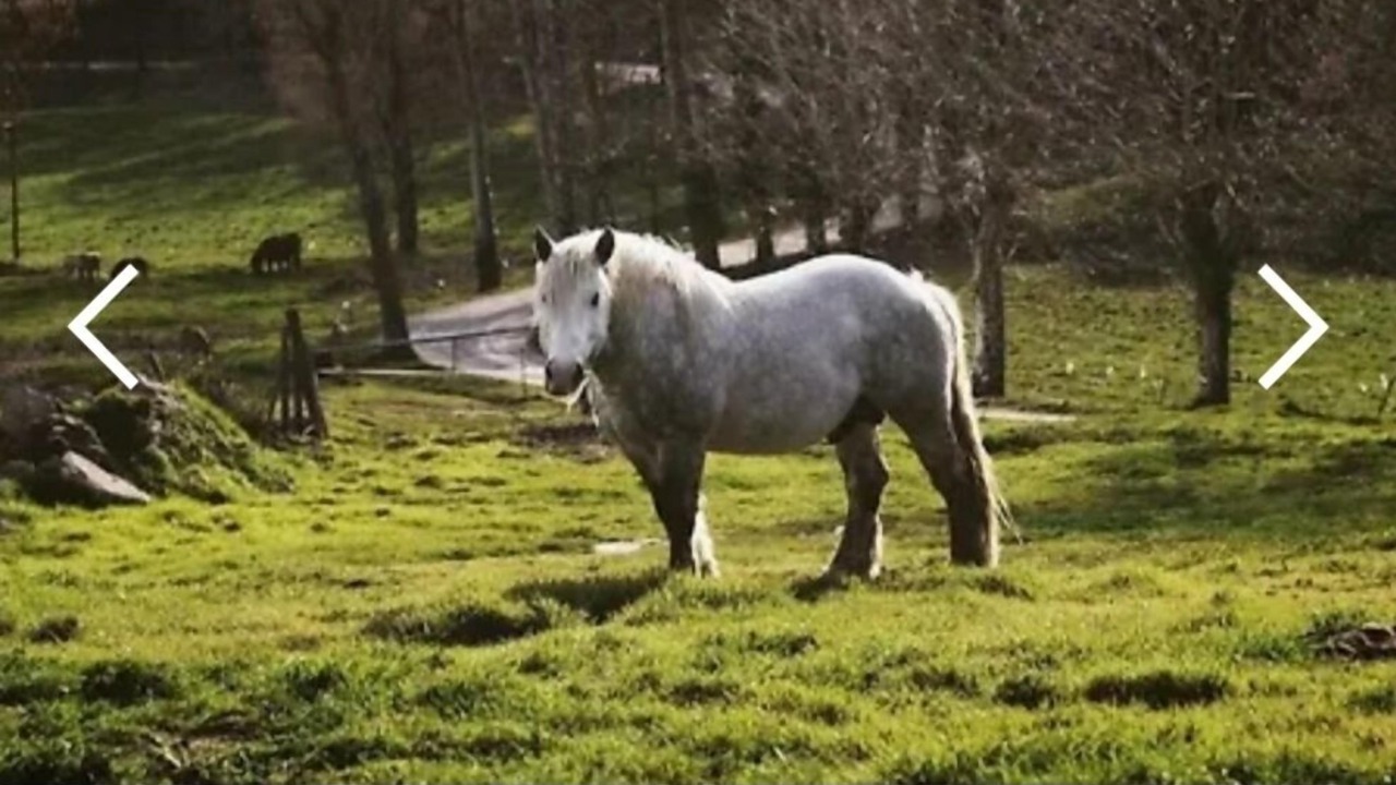 Photo of Others in Sant Boi de Llucanes