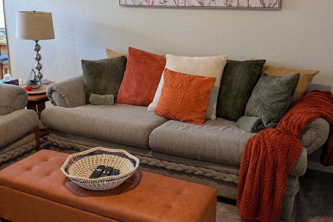 Photo of Livingroom in Lutz