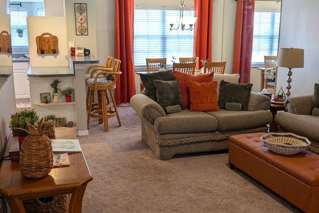 Photo of Livingroom in Lutz
