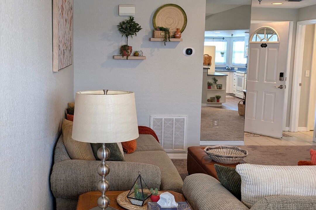 Photo of Livingroom in Lutz