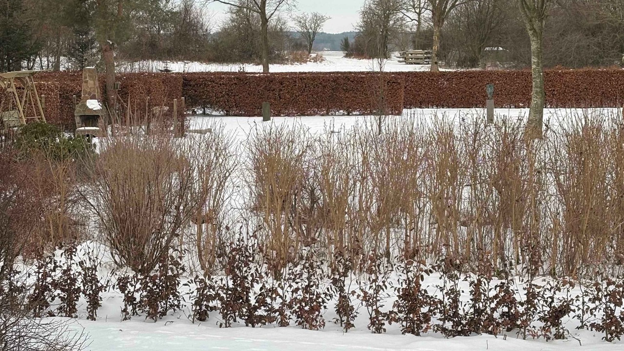 Photo of Others in Ronbjerg