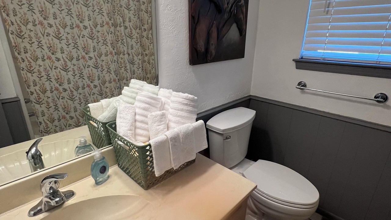 Photo of Bathroom in Amarillo