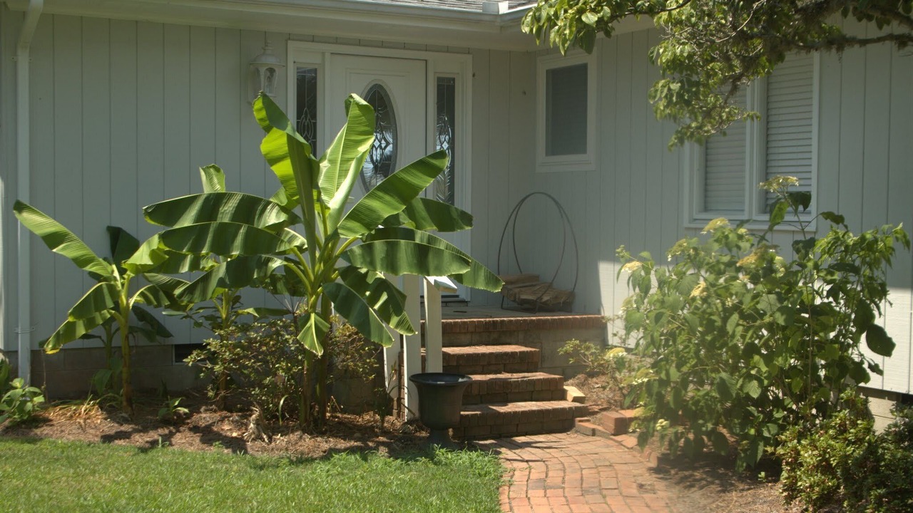 Photo of Outdoor in Newport