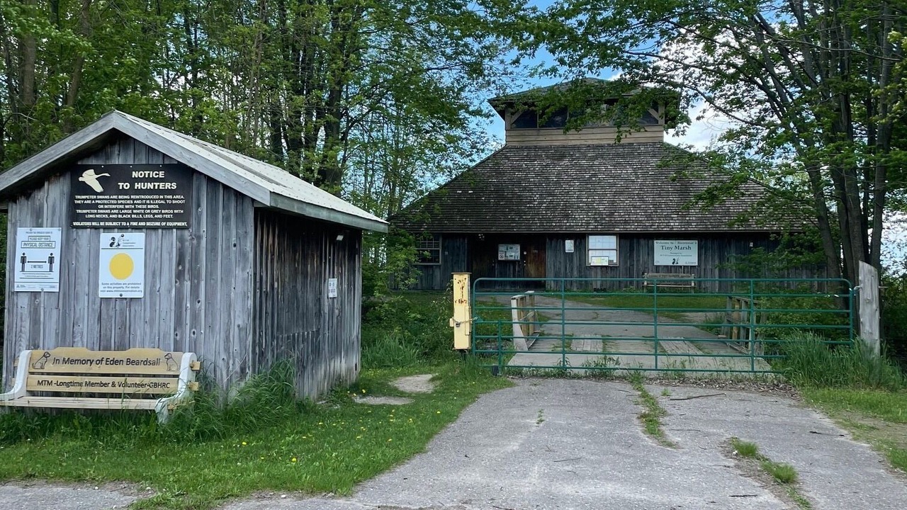 Photo of Outdoor in Balm Beach
