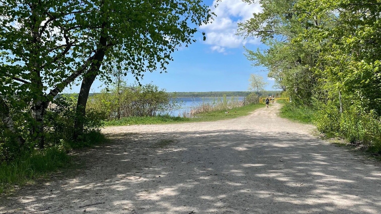 Photo of Others in Balm Beach