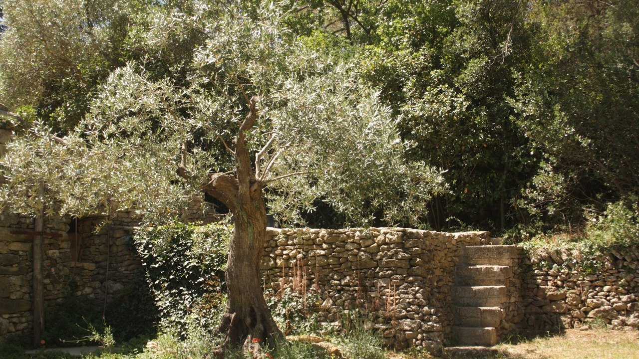 Photo of Outdoor in Montaren-et-Saint-Mediers