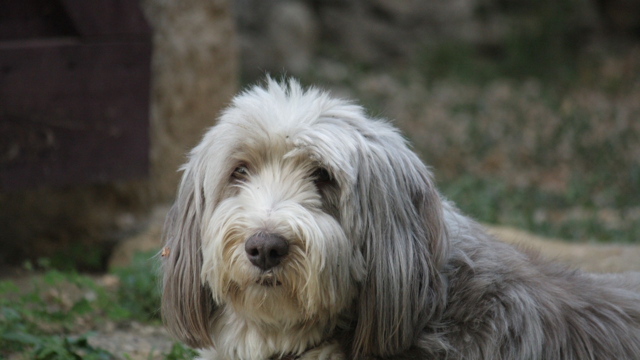 Photo of Others in Montaren-et-Saint-Mediers