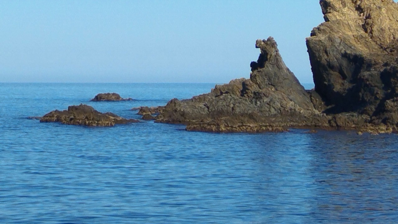 Photo of Others in Banyuls-sur-Mer