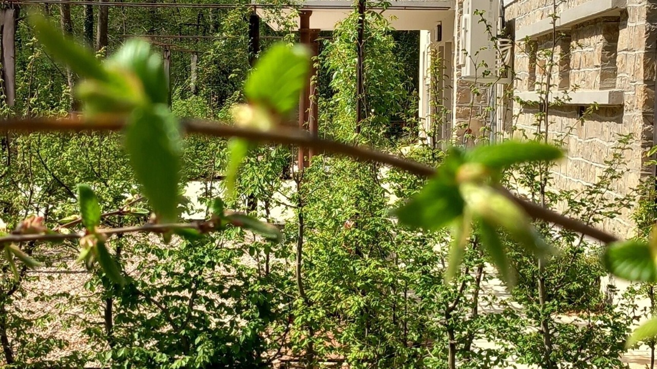Photo of Outdoor in Espalion