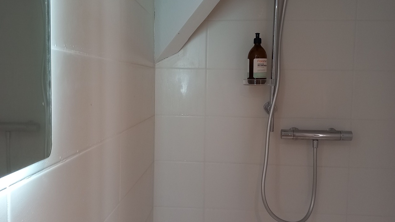 Photo of Bathroom in Espalion