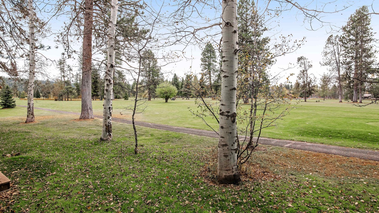 Photo of Others in McCall