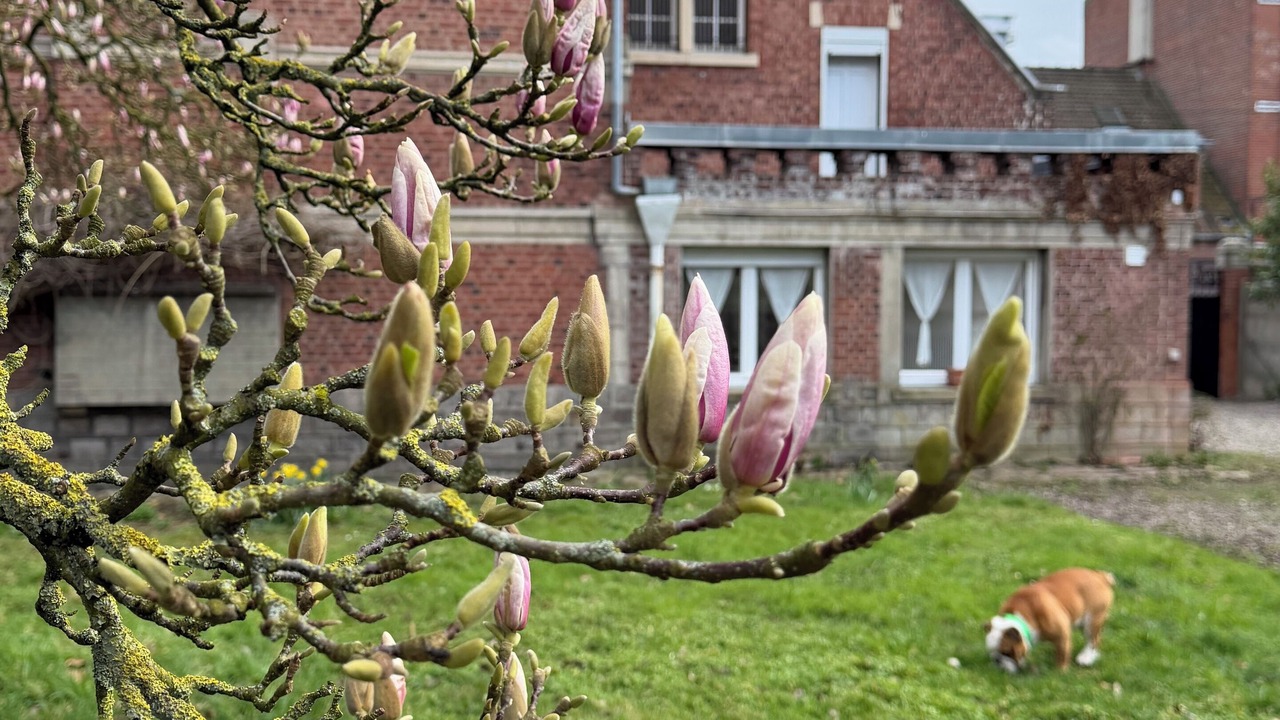 Photo of Outdoor in Lambersart