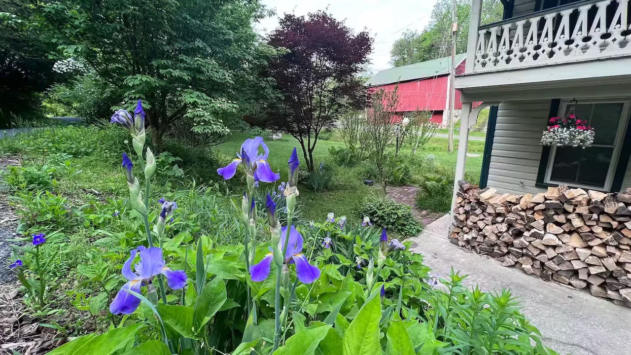 Photo of Outdoor in Robesonia