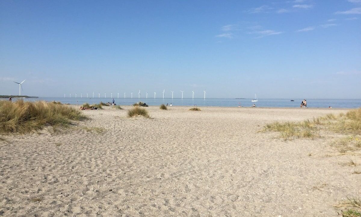 Photo of Others in Amager