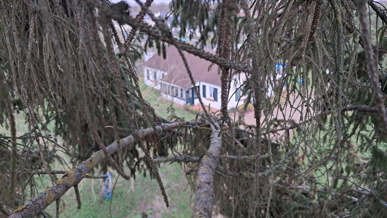 Photo of Outdoor in Villemurlin