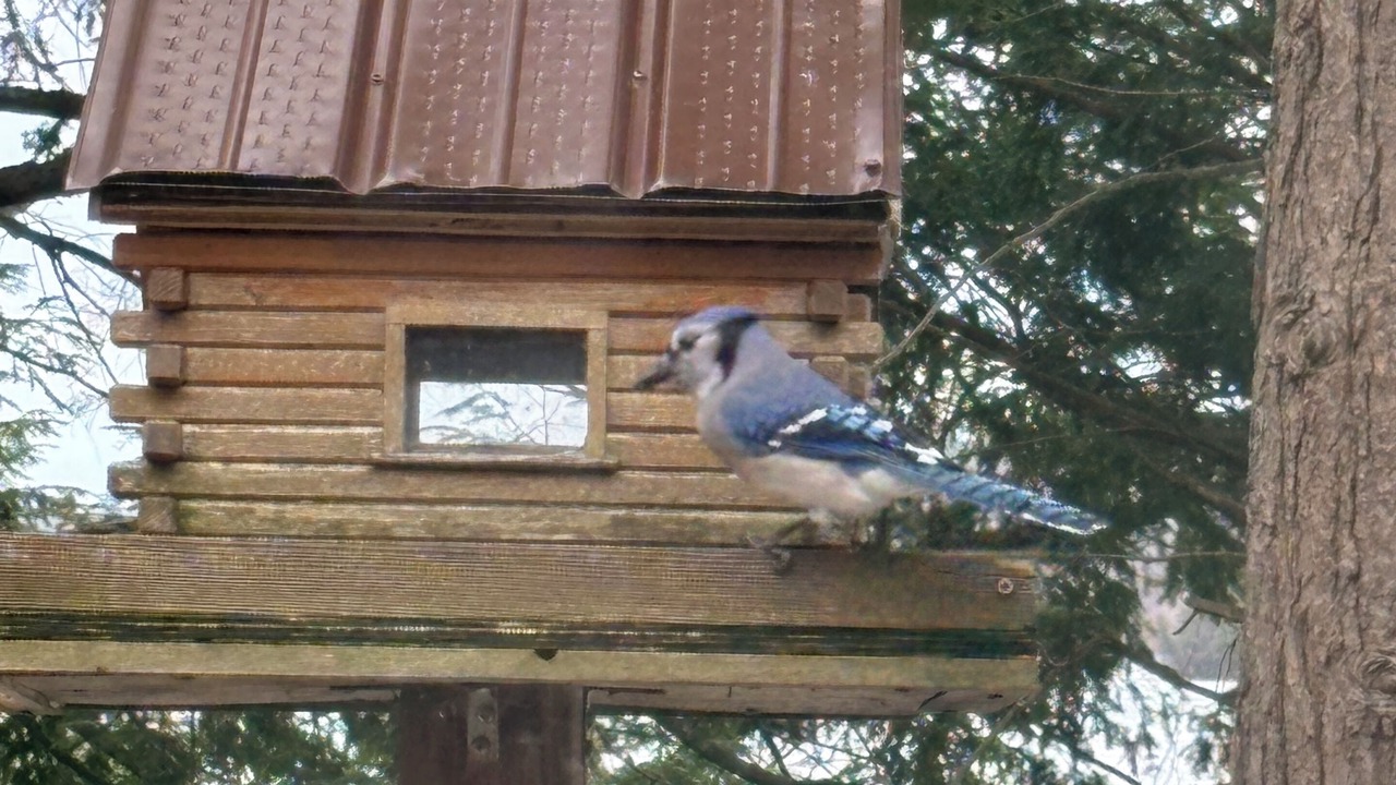 Photo of Others in Tay Valley