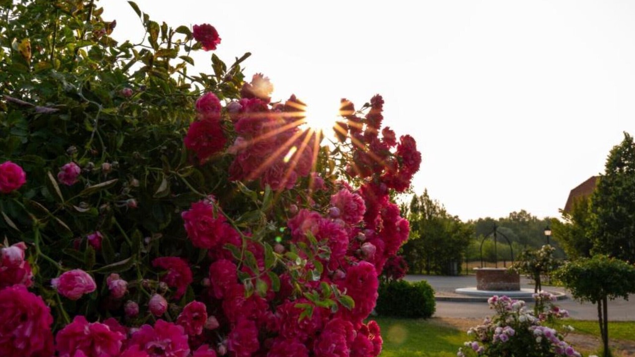 Photo of Outdoor in Lekenik