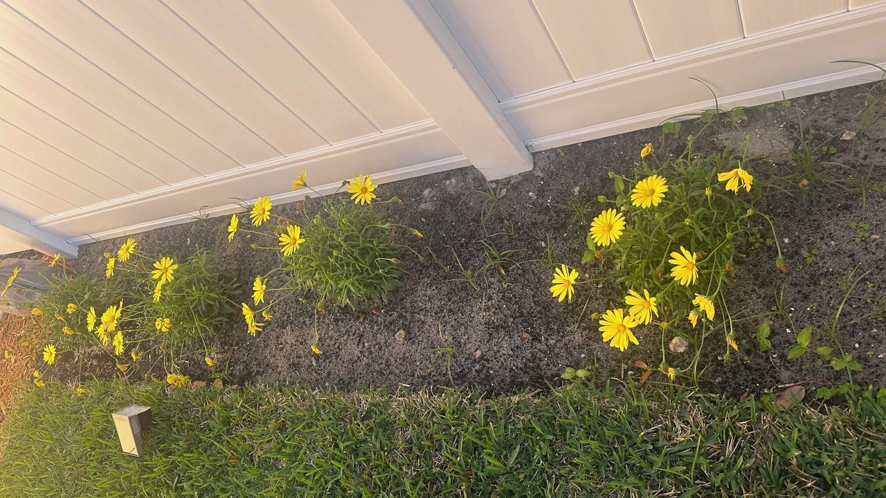 Photo of Outdoor in Garden Isles