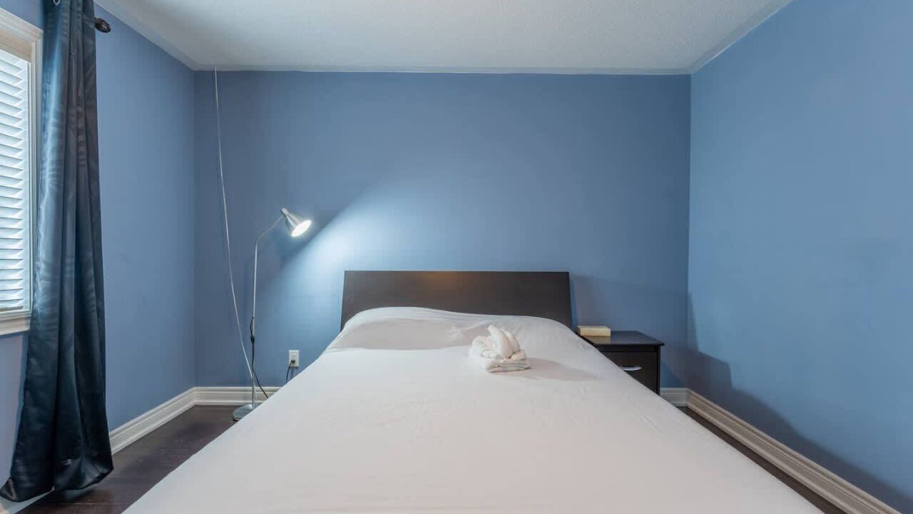 Photo of Others in Brampton