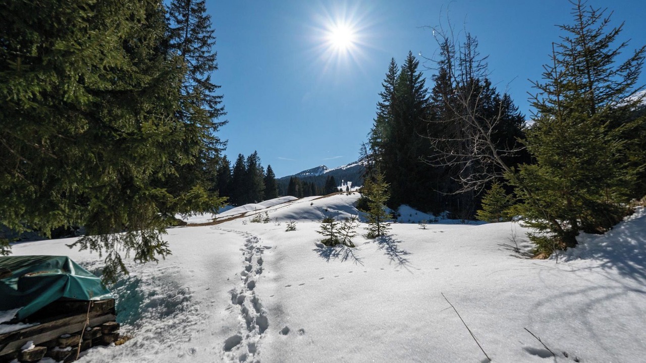 Photo of Others in Lenzerheide