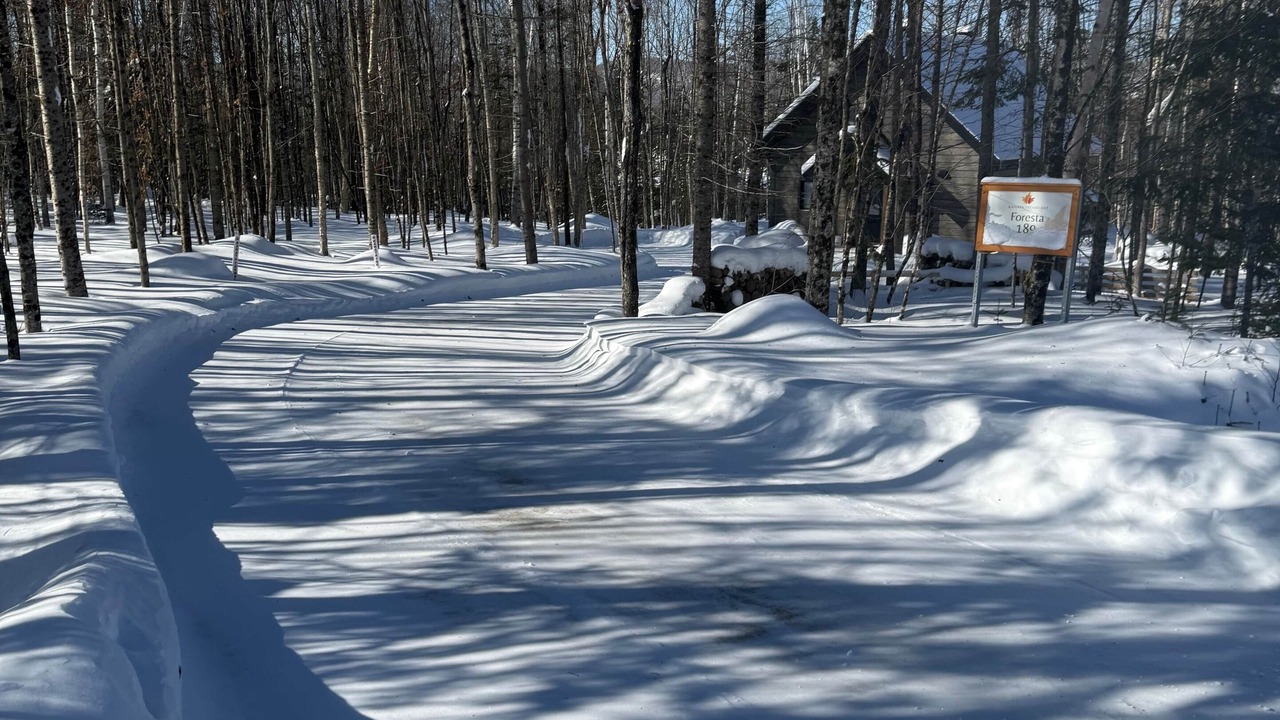Photo of Others in Amherst