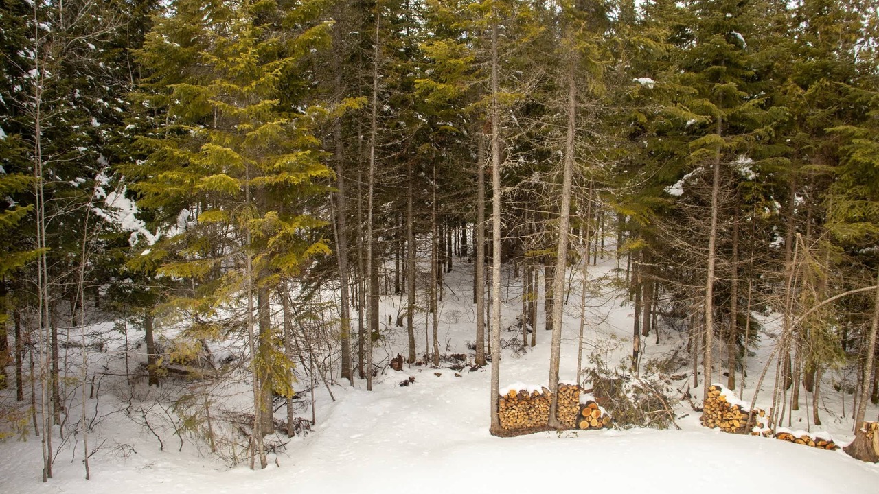 Photo of Others in Saint-Fabien-de-Panet