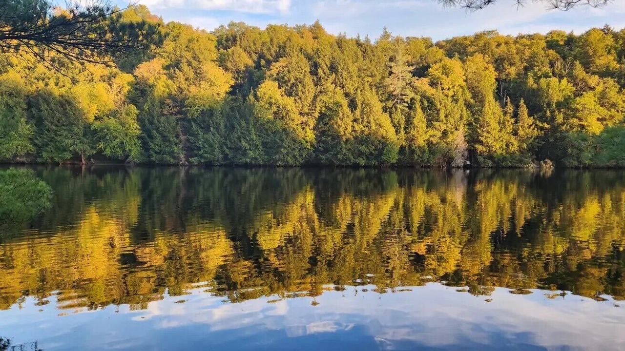 Photo of Others in Greater Madawaska