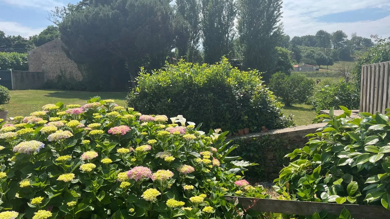Photo of Outdoor in Pouzauges