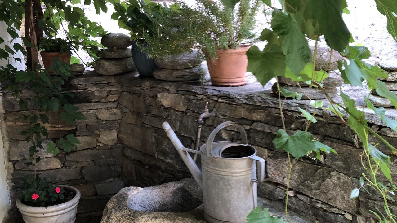 Photo of Outdoor in Giumaglio