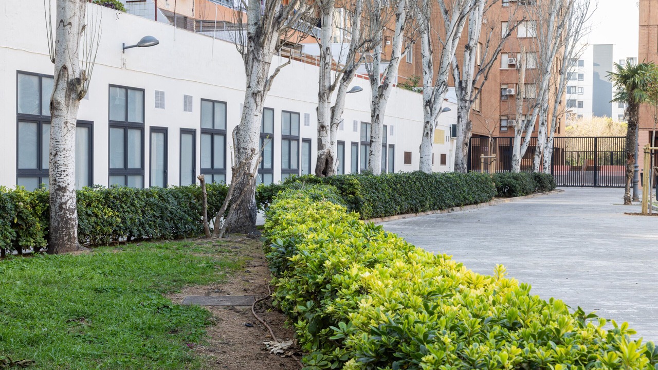 Photo of Outdoor in Safranar