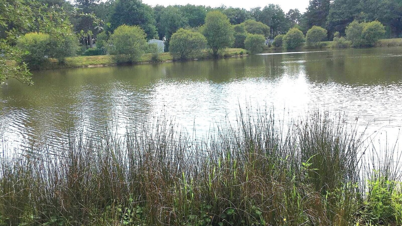Photo of Others in La Boissiere-de-Montaigu