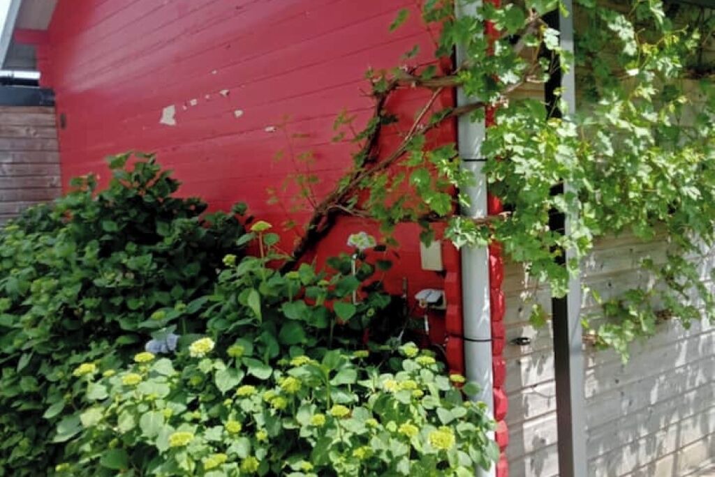 Photo of Outdoor in Jans