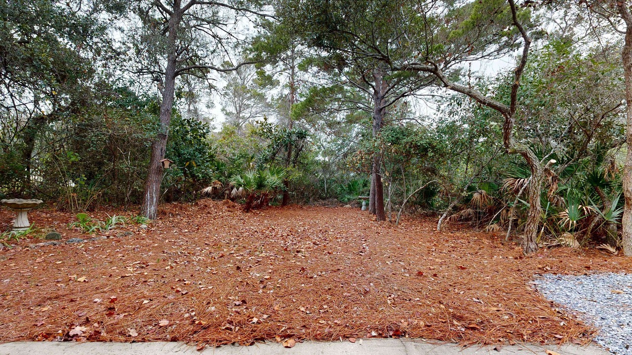 Photo of Outdoor in Gulf Pines