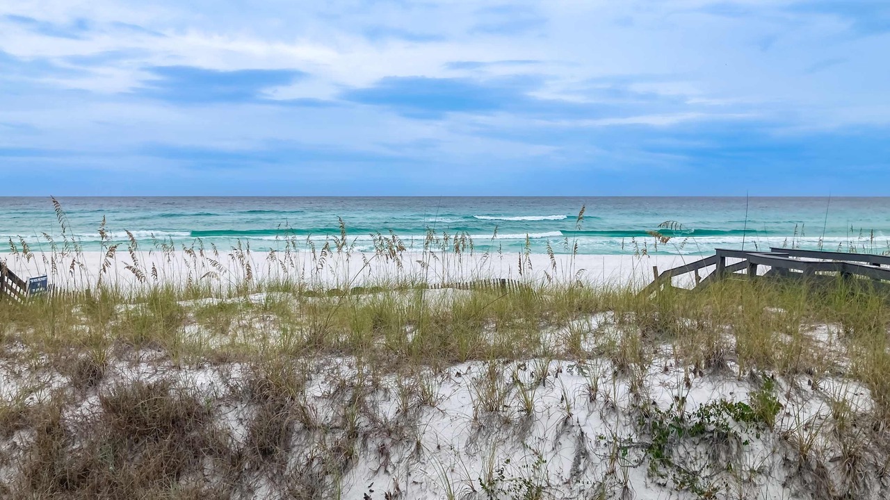 Photo of Others in Gulf Pines