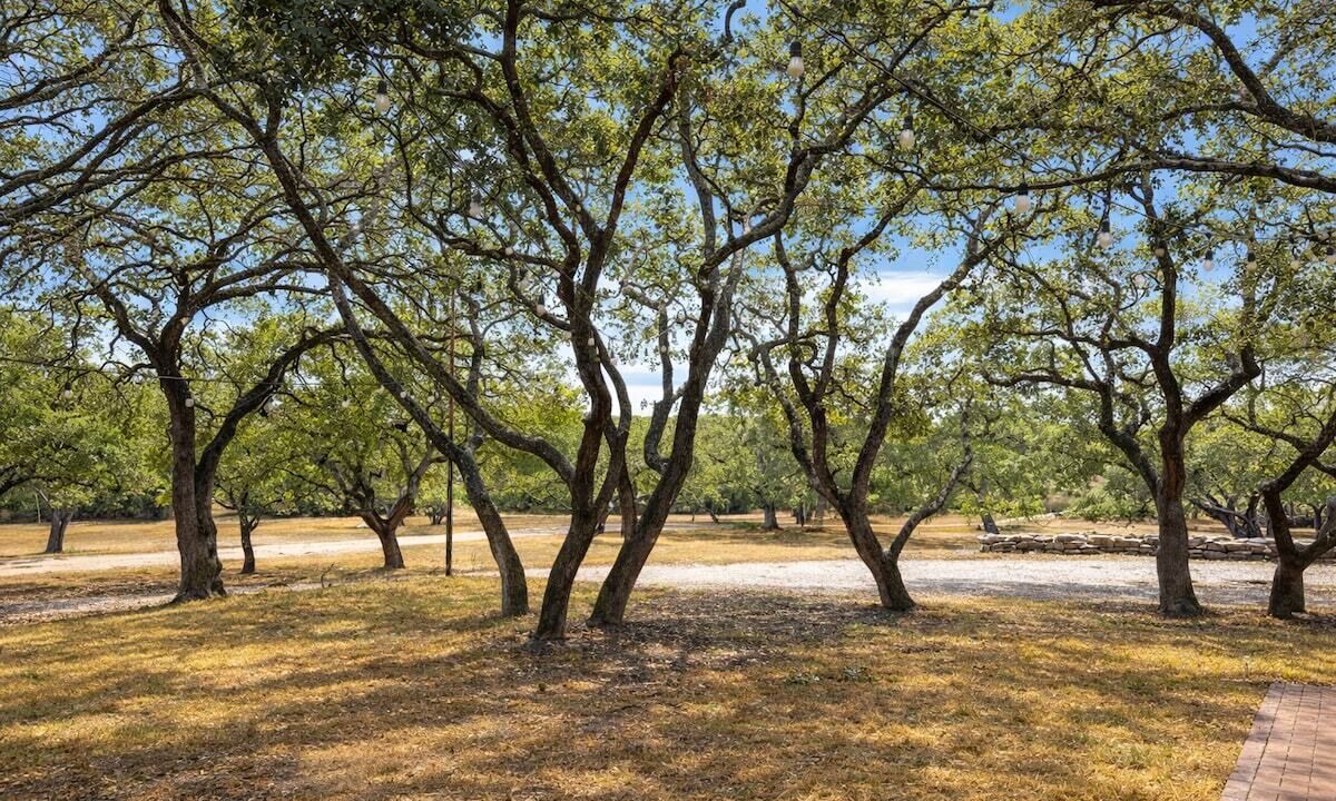 Photo of Others in Boerne