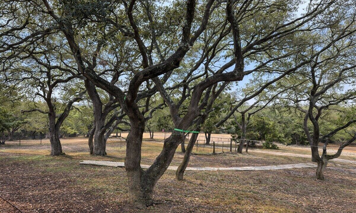 Photo of Others in Boerne