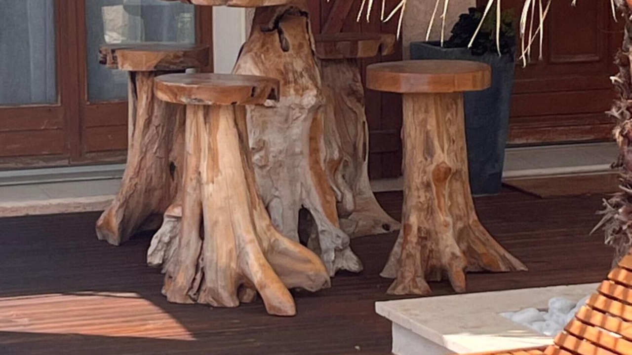 Photo of Patio Balcony in Vic-la-Gardiole
