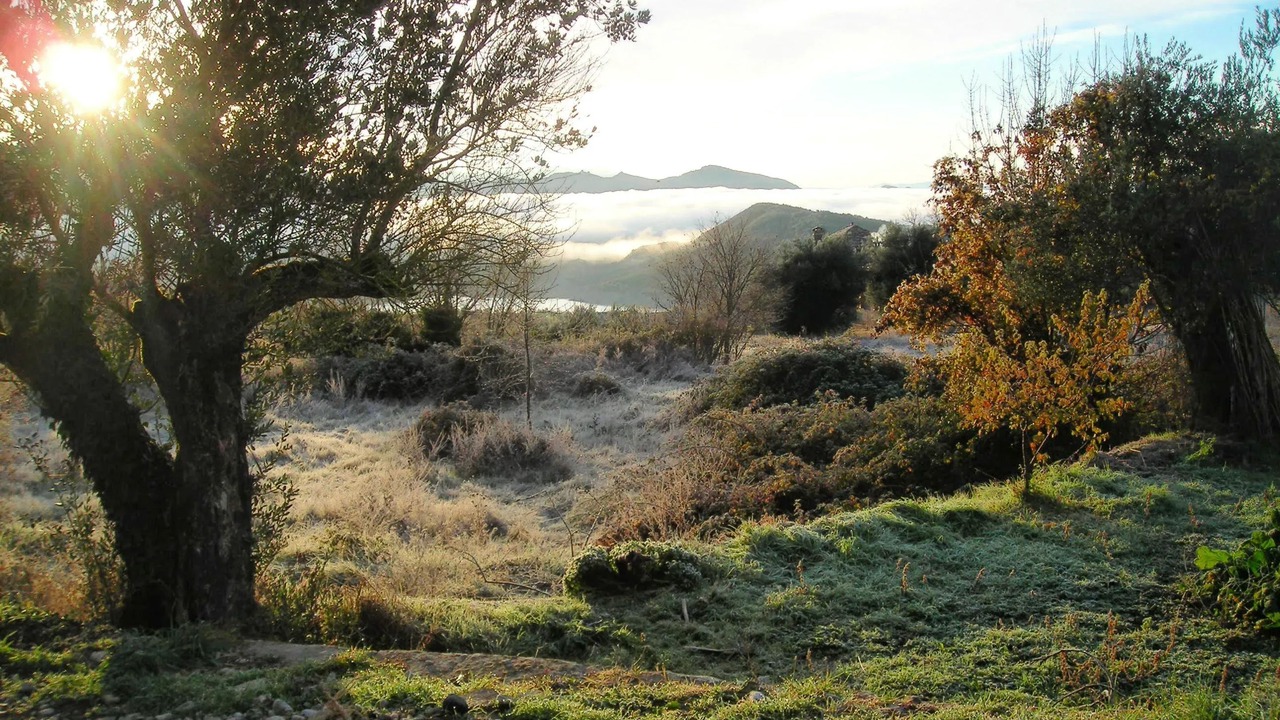 Photo of Others in Coscojuela de Sobrarbe